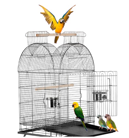 Großer Vogelkäfig zum kleinen Preis