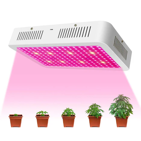 LED Pflanzenlampe 2000W Für 77,99€