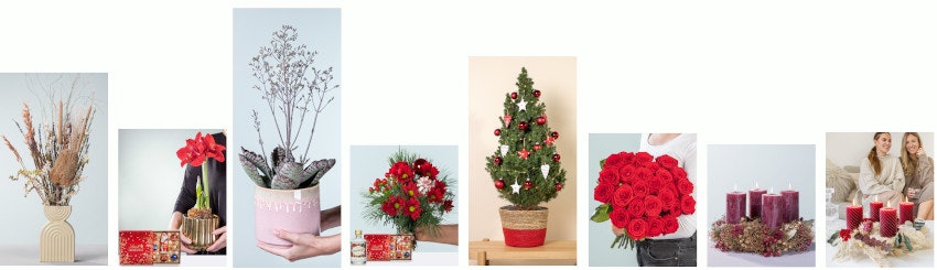 weichnachtsmann-versandkostenfrei-blume2000-beispiele