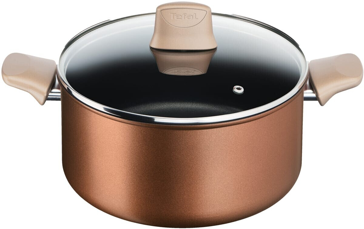 Aktion: Tefal Eco-Respect Ø24cm 5L stewpot CG2544602 30% günstiger