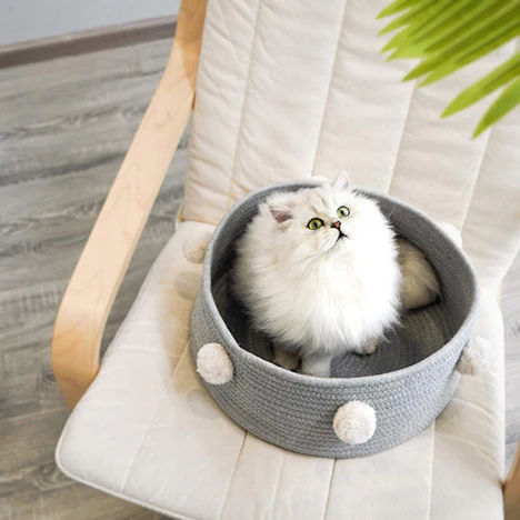 Centitenk Cama para Gatos de Color Gris