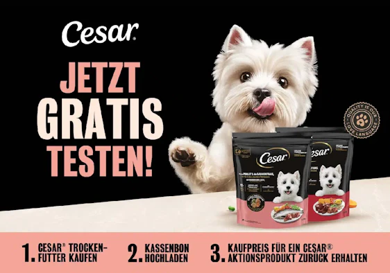 CESAR Cashback 2026 bis 6,79 € Geld zurück auf CESAR Trockenfutter