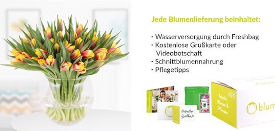30 zweifarbige Tulpen für 28€ - mit kostenloser Grußkarte oder Videobotschaft
