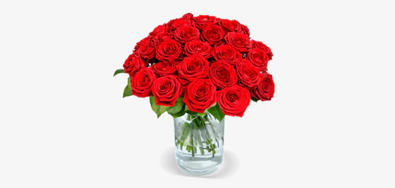 Sagt's mit Blumen! 🌹 15 Premium-Rosen "Red Naomi" bei Blume Ideal für 24€
