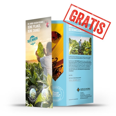 Kostenloses Tabaksamen Set (Sorte Virginia Golta) Natural American Spirit