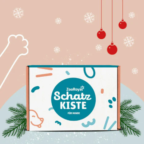 Hundefutter Schatzkiste 17-teilig inkl. Spielzeug ZooRoyal