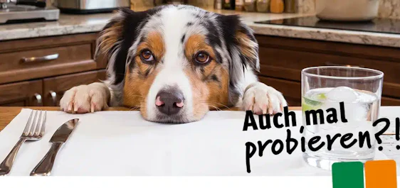 2 Futterproben für Euren Liebling (Hund) gratis holen!