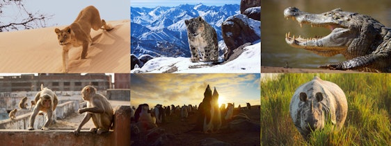 Planet Erde 2: Eine Erde, viele Welten kostenlos streamen - alle Teile (1-6)