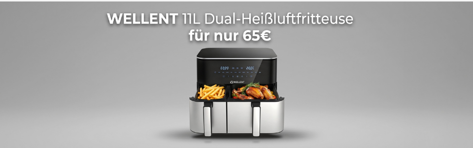 Wellent Airfryer