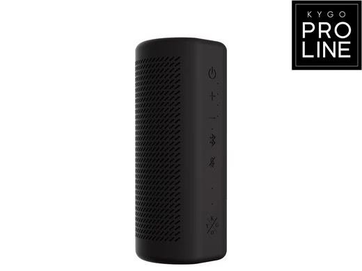Kygo Google Smart 360°-Lautsprecher (B9/800)
