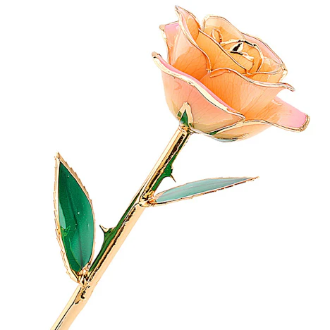 24k vergoldet Echt Rose, Geschenk der Liebe (weiß-rosa)