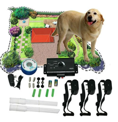 Elektronisches Hunde-Trainingsset für 31,82€(Statt 42,18€)