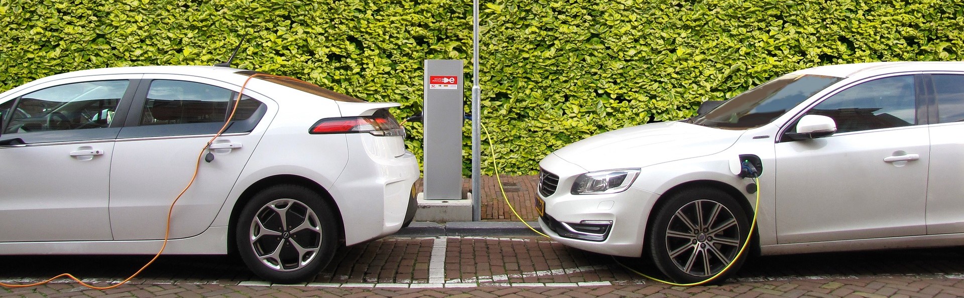 Deutschland überholt USA » Mehr E-Auto- oder Hybrid-Neuzulassungen