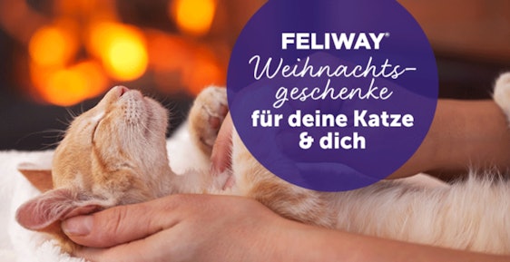Reiche Bescherung für dich und deine Katze(n)!