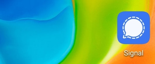 Nutzerzahlen verdoppelt » Signal-Mitarbeitern geht Wachstum zu schnell