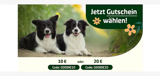 Große Freude für Fellnasen! 🐶 10€ alsa-hundewelt Gutschein auf alles ab 20€ Bestellwert 🐾