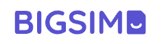 BigSIM