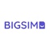 BigSIM