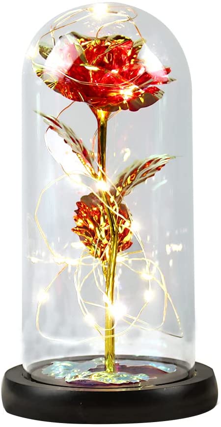 HEXUP die Schöne und das Biest Rose, ewiges Rose im Glas warmweißen LED-Lichte