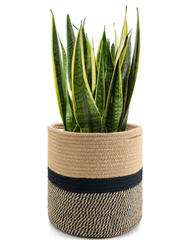 Goodpick Pflanzkorb aus gewebtem Baumwollseil für 25,4 cm Blumentopf
