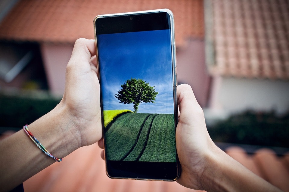 Nachhaltig Handy zeigt grünes Feld und Baum