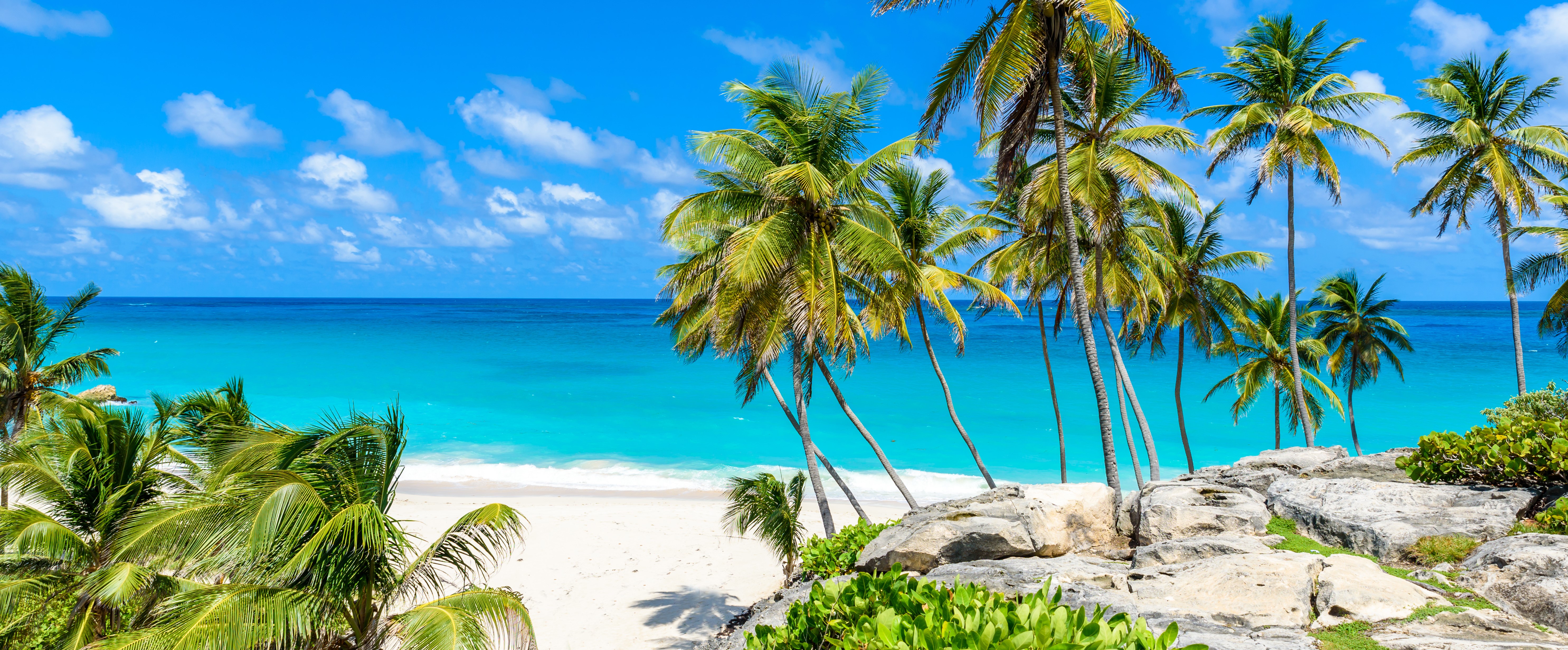 Karibik-Flüge nach Martinique, Barbados oder Kuba ab 399€ - inkl. Aufgabegepäck und Bordverpflegung