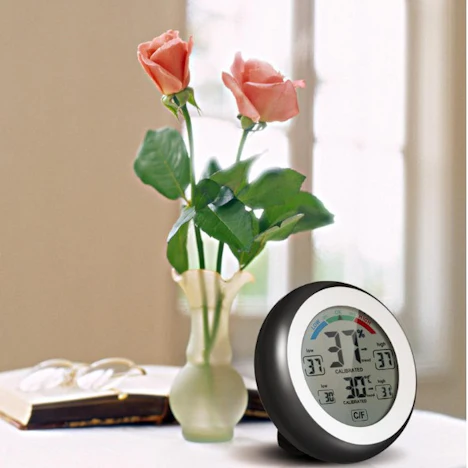Multifunctional Digital Thermometer