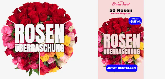 Rosen-Wahnsinn zum Spitzenpreis! 🌹 50 Rosenüberraschung (40-50cm) für nur 24,99€ statt 60€ 💐