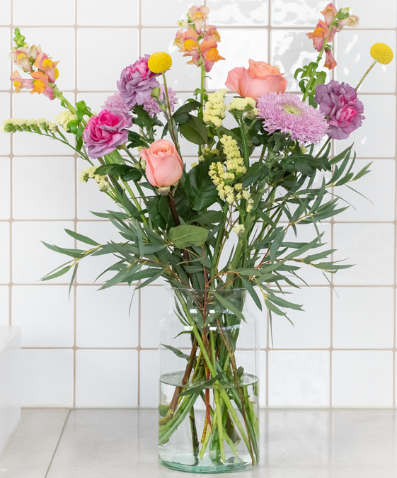 Blumenbox Carlotta für 10€ – nur für Neukund:innen