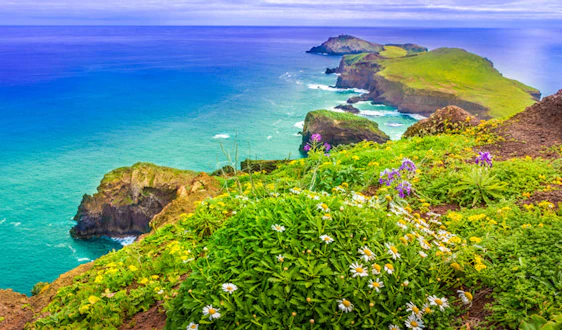 Atlantik-Kracher! 7 Tage Madeira inkl. Flügen und 3*Hotel mit Frühstück ab nur 179€ *noch günstiger*