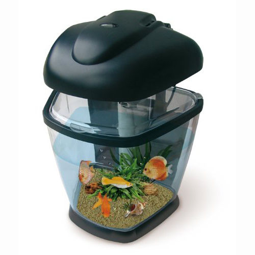Knaller Preis: Nano Komplett-Aquarium mit Filter und Beleuchtung für nur 29,99 EUR inkl. Versand