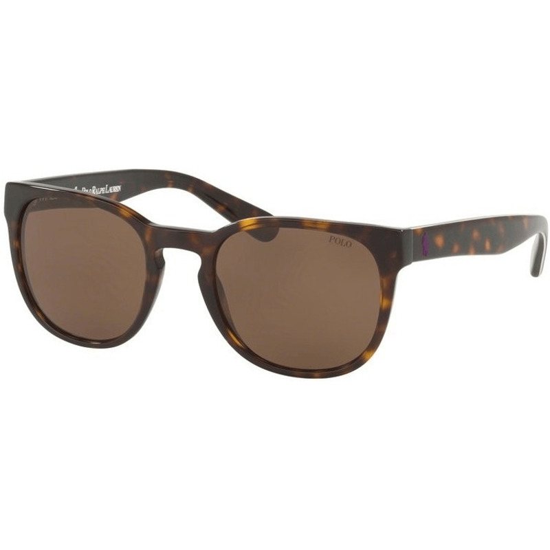 Polo PH4099 564873 (shiny dark havana/dark brown) für 87,20€