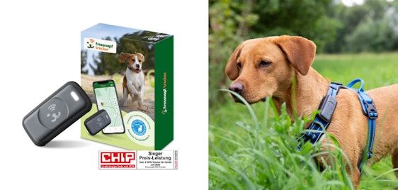 25% Gutschein auf GPS-Tracker (z.B. für Hunde für 57€) - wasserfest, leicht, ohne Abo