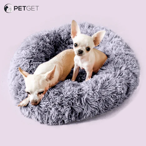 60% auf Hunde & Katzenbett und kostenloser Versand