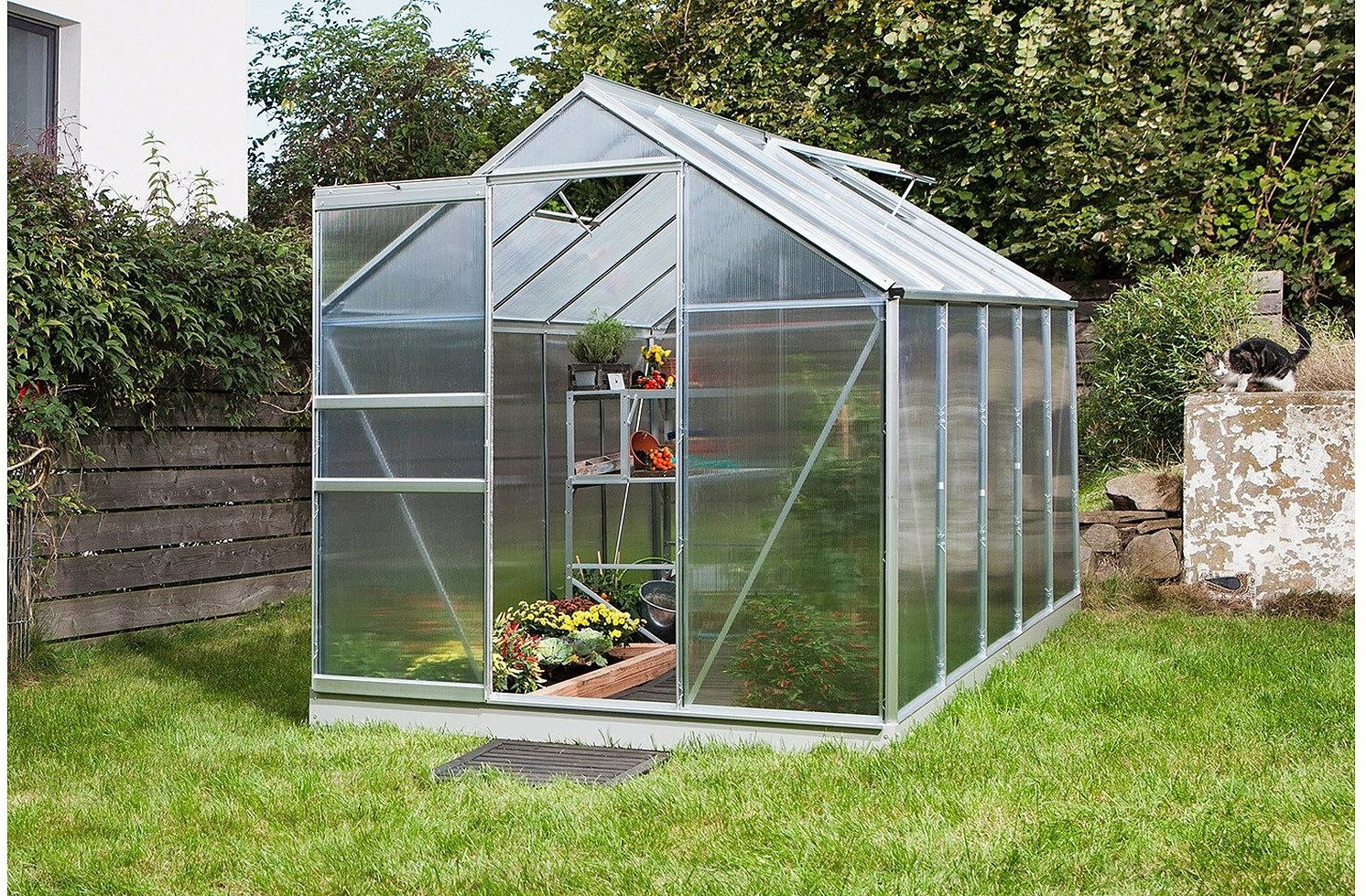 Vitavia Venus 6200 (6mm HKP, Alu blank) für 545,57€