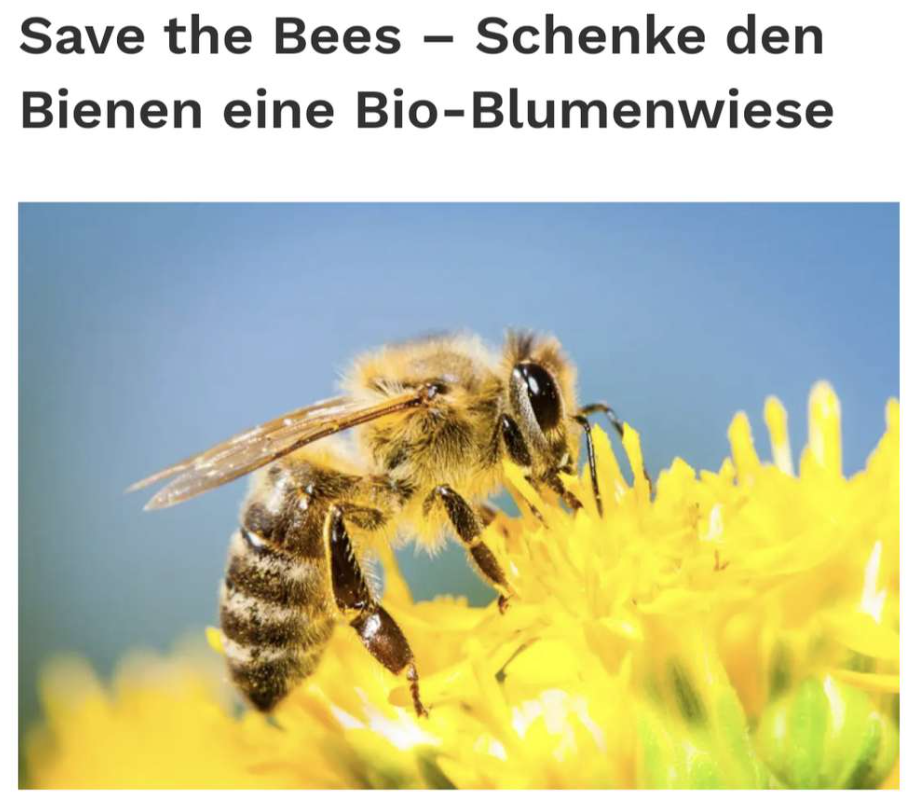 Gratis Wildblumensamen von Greenpeace 🌼🐝 Bienenfreundliche Blumen für Balkon &amp; Garten 