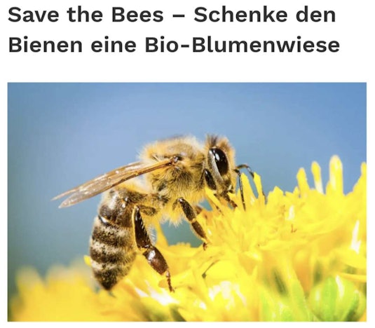 Gratis Wildblumensamen von Greenpeace 🌼🐝 Bienenfreundliche Blumen für Balkon & Garten
