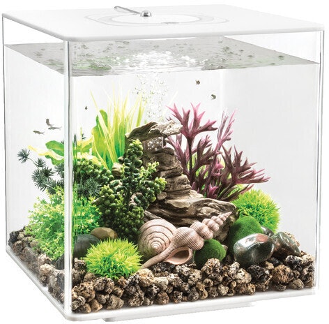 Oase Cube 30 LED weiß (72019) für nur 138,80€ statt 184,30€