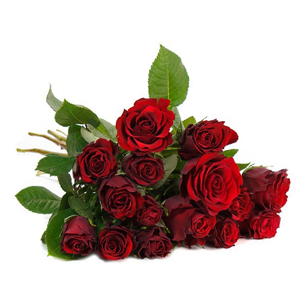 30 rote Rosen für 20€ bei Blume Ideal