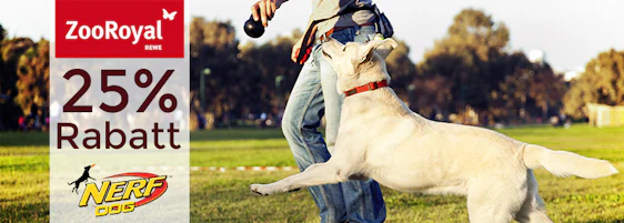 25% auf Nerf-Hundespielzeug bei ZooRoyal