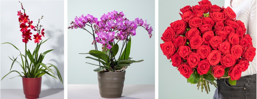 beispiele-neukundinnen-15-09-2021-blume2000