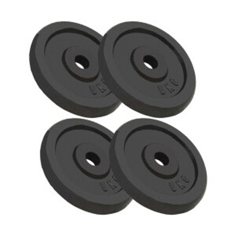 vidaXL Hantelscheiben 4 Stk. 20 kg für nur 149,99€ statt 273,62€