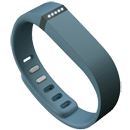 Fitbit-Flex