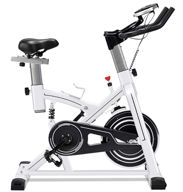 ERGO LIFE Indoor Fitness Bike