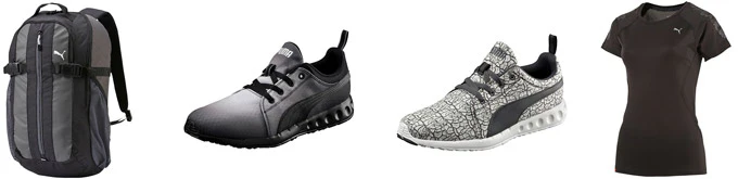 puma-beispiele