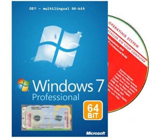 windows 7 professional