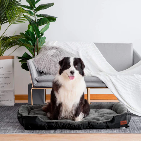 Petsure Rutschfestes Hundebett in 4 Farben/Größen für je ab 12,99€