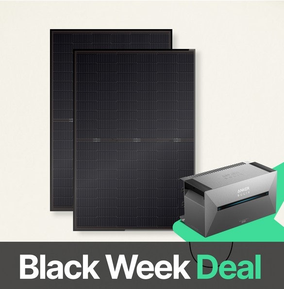 Screenshot-2024-11-25-104904 Screenshot-2024-11-25-104904