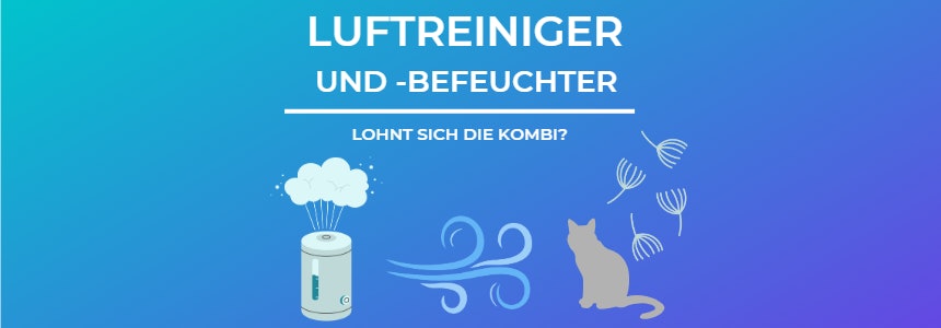 Luftreiniger und -befeuchter: Vor- und Nachteile von Philips, Dyson, Levoit & Co