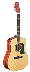 Washburn WD10S mit 147,00€ Preisnachlass